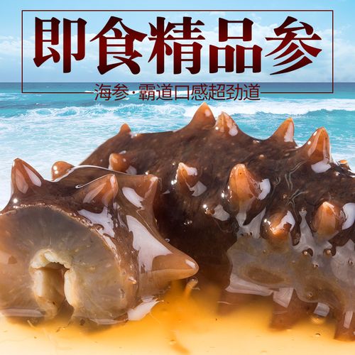 倬大海参 即食海参 500g 大连野生海参 辽刺参 辽参